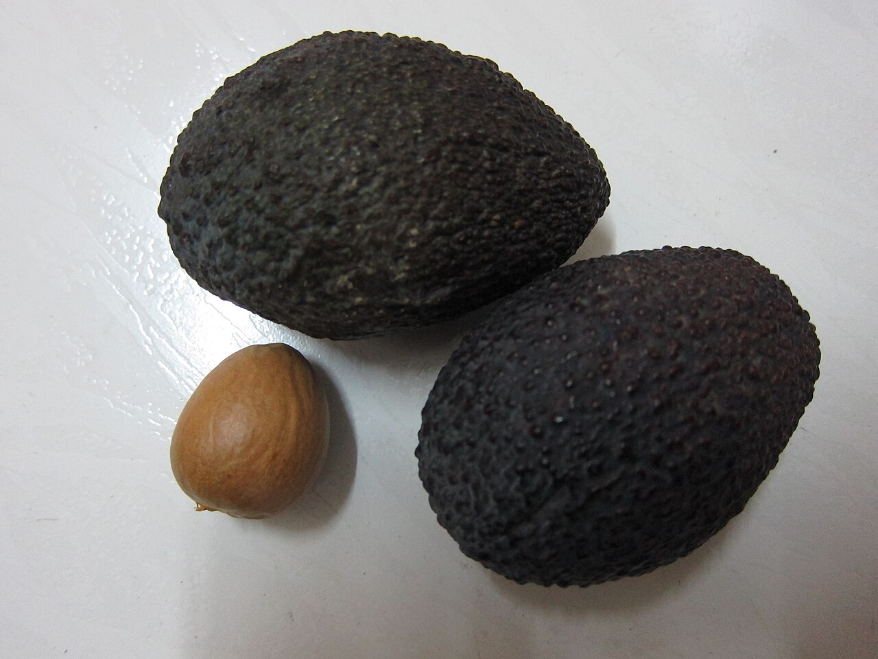 Avocado
