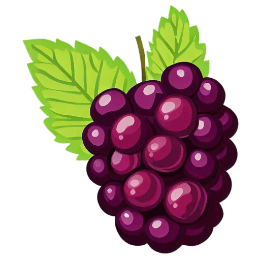 Blackberry