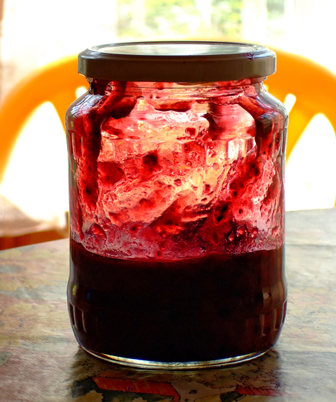 Blackcurrant