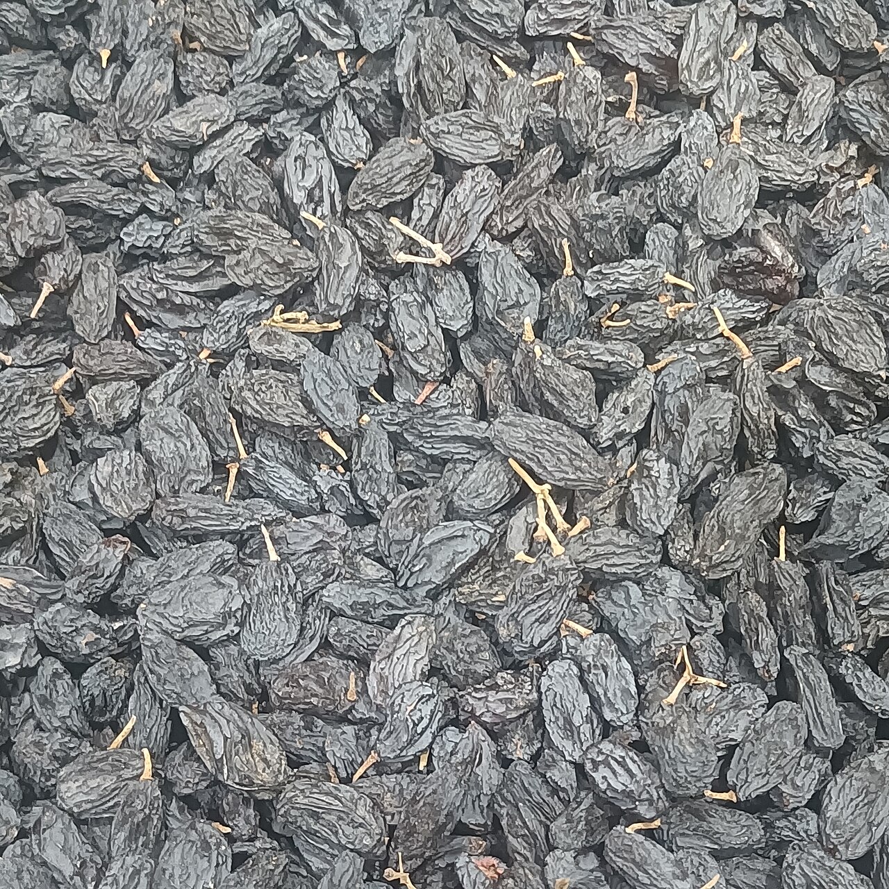 Blackcurrant