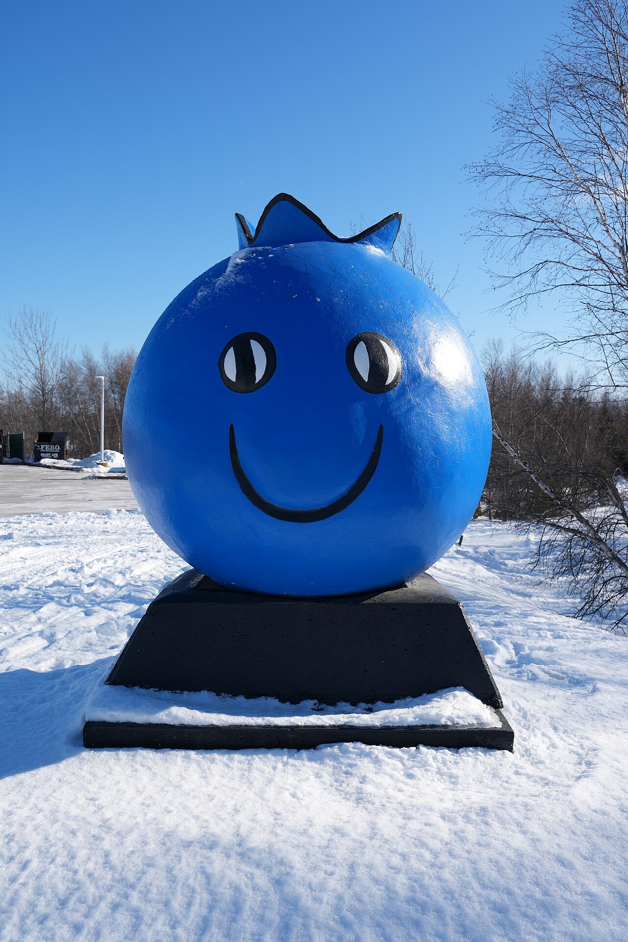 Blueberry