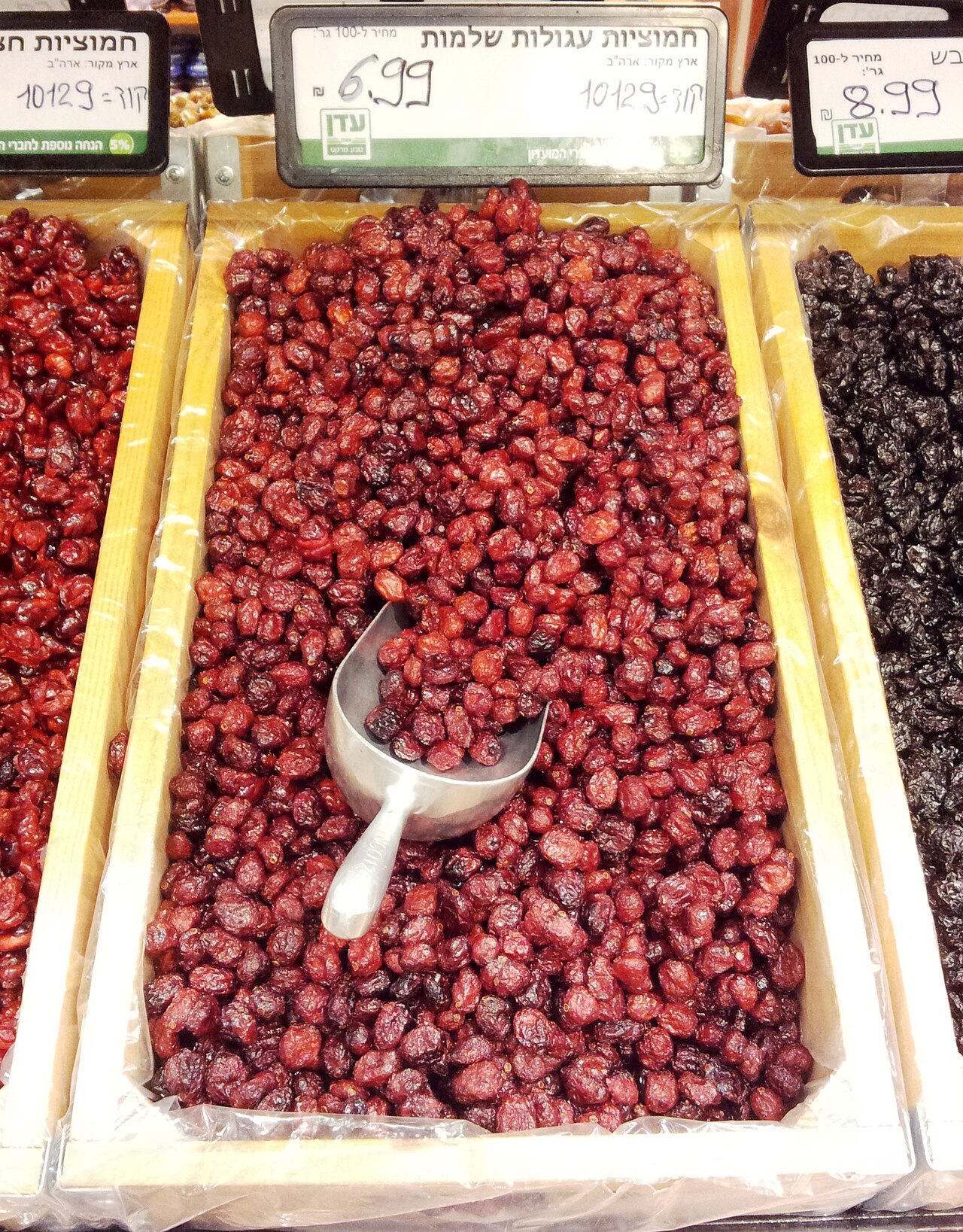 Cranberry