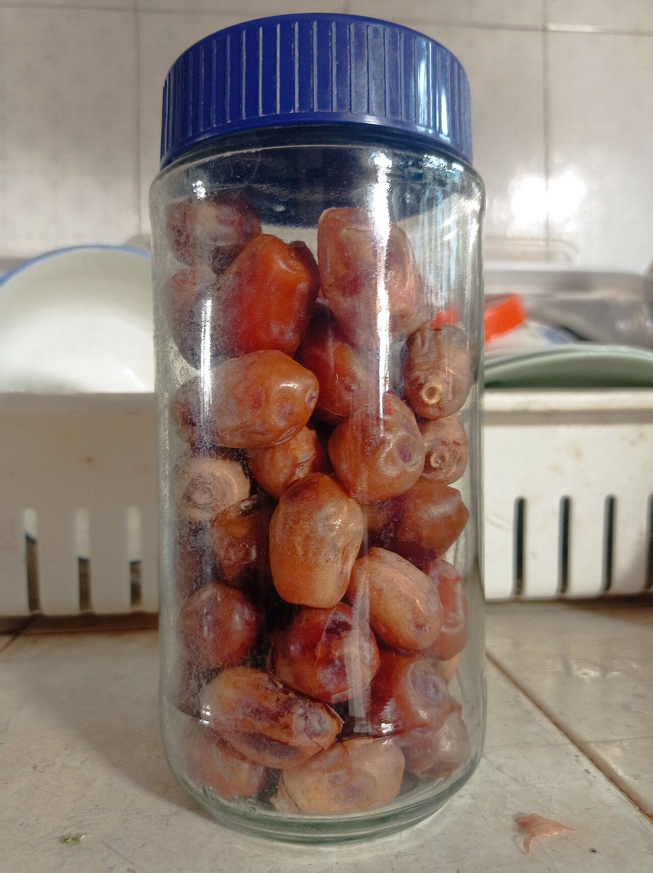 Date palm