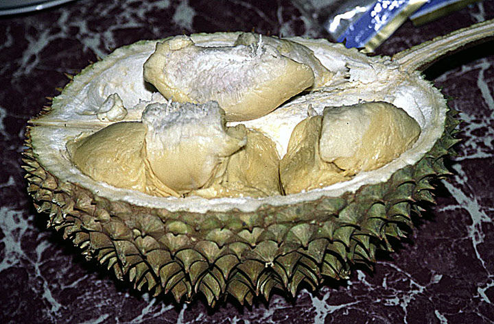 Durian