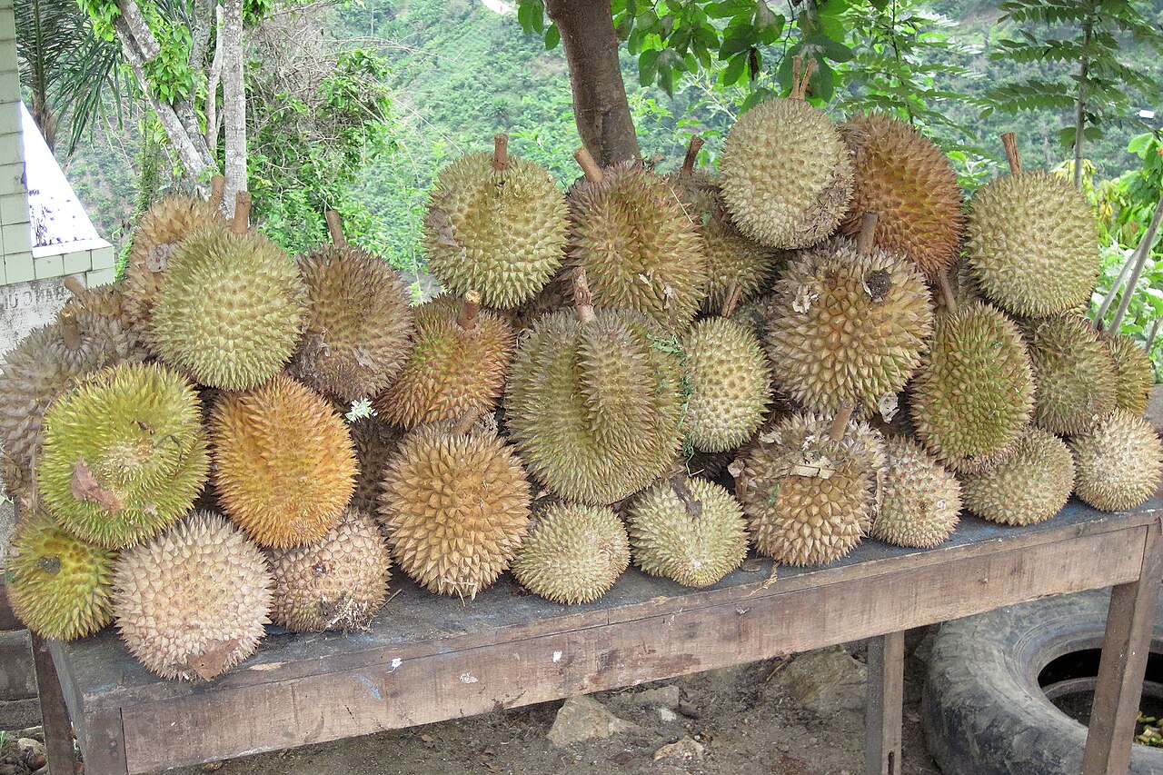 Durian